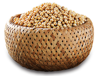 100％顆粒飽滿非轉基因黃豆不含任何食品添加劑